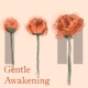 Gentle Awakening