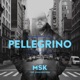 Pellegrino feat Jonas Benyoub Single