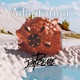 Adaptation Single