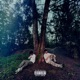 NO RULES TO THIS SHIT EP