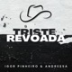Triste Revoada Single