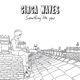 Something Like You Single