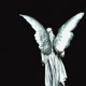 serenity Single