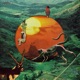Animal Forest Single