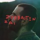 Zerbaiten Zai Single