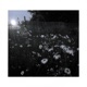 Piece it All Together feat hostile Single