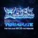 Terminate Remixes Single