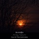 Out of the Darkness Single
