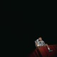 FeedxCortez Single
