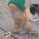 Save Me Single
