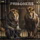 Prisoners Single