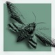 Der Astronaut Single