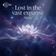 Lost in the vast expanse