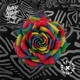 Flowers feat Nat Dunn Remixes Single