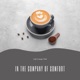 In the Company of Comfort