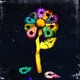 This Is A Flower Alternative Version