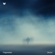 Fragmented Single