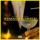 Shaken Not Stirred Single