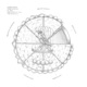 Caged Birds feat LANELL GRANT Single