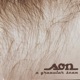 A Granular Scan
