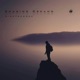 Chasing Dreams Single