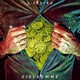 Zielsumme Single