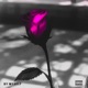 By Myself Single