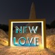 New Love Single