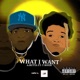 What I Want feat T Hood Single