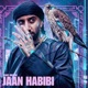 Jaan Habibi Single
