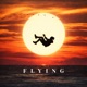 Flying Single