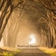 Road Less Traveled Single