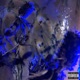 Fantasy Girl Single