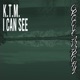 I Can See Gebwiller Remixes EP