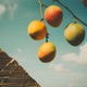 Mango Sky feat 1depth Single