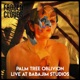 Palm Tree Oblivion Live at Babajim Studios Single