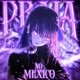 PRAIA NO MÉXICO Single