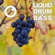 Liquid Drum Bass Sessions 2020 Vol 15