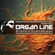 Organ line Single