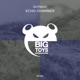 Echo Chamber Single