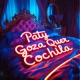 PATY GOZA QUER COCHILA Single