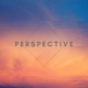 Perspective Single