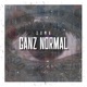 Ganz Normal Single