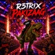 PAKIZAAG Single