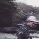 Incisions Single