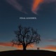 Final Goodbye Single