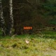 Soort Single