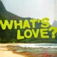 What s Love Single