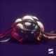 Hollow Single