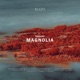 Magnolia Single